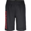 UNDER ARMOUR Boys' UA Prototype Wordmark Shorts 1 UNDER ARMOUR Boys' UA Prototype Wordmark Shorts -Fashion Clothing Store 2078520 008 main