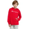 CHAMPION Boys' French Terry Hoodie 2 CHAMPION Boys' French Terry Hoodie -Fashion Clothing Store 2084957 601 main